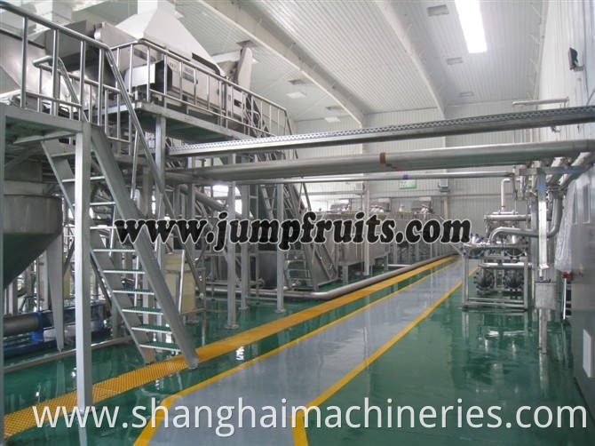 Complete Yoghurt Processing Line